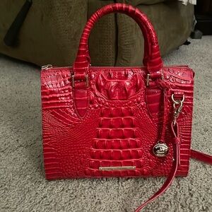 Brahmin Anywhere Convertable Carnation Melbourne Handbag and Wallet